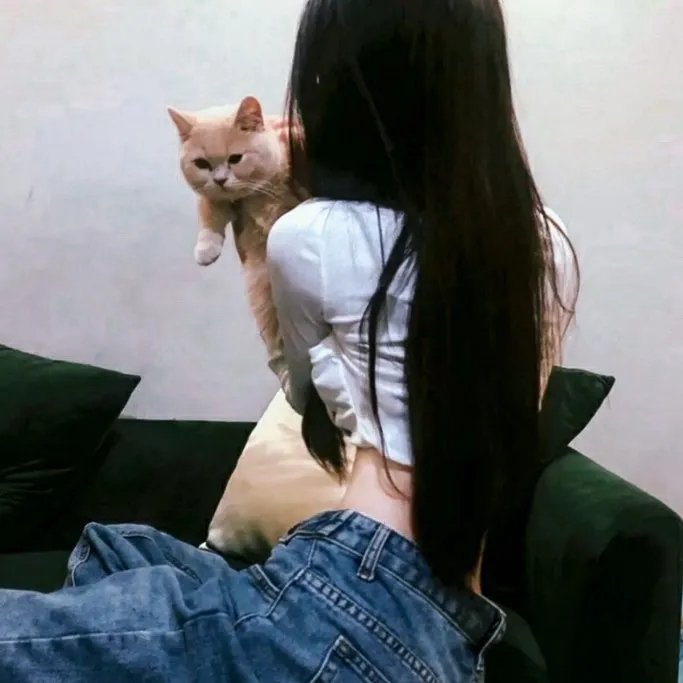 杀入爱情街